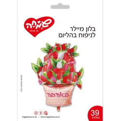 בלון מיילר 39 - אגרטל פרחים באהבה